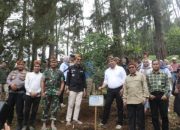 Disambut Bupati Safaruddin, Mentri Kehutanan Luncurkan IAD HATTA di Kawasan Ekowisata Kapalo Banda Taram