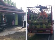 Kelangkaan Gas LPG 3 Kg di Lengayang, Warga Antre dan Harga Melonjak