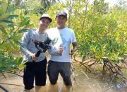 Penyelamatan Mangrove di Amping Parak, Benteng Hijau Alami Atasi Abrasi