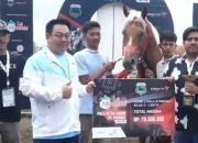 Sukses di Piala PP Pordasi, Kuda Syam Wakas Sawahlunto Bersaing Lagi di Tiga Mahkota-Pertiwi Cup Bantul