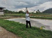 Bumnag Nagari Balai Panjang Penuh Inovasi, Menyulap Lahan Kering Menjadi Pundi Rupiah