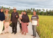 Anggota DPRD Sumbar Khairuddin Simanjuntak Tinjau Pembangunan Jalan Usaha Tani di Pasaman 