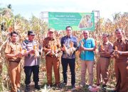 Wawako Payakumbuh Elzadaswarman Panen Jagung, Ingatkan Lahan Tidur Agar Diolah 
