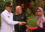 Dukung Ketahanan Pangan, Pemko Payakumbuh Bantu KWT dengan Bibit dan Benih