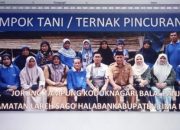 Kelompok Tani dan Ternak Pincuran Gadang Ada Paket Aqikah dan Hewan Qurban