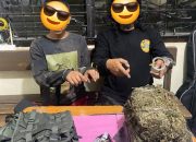 Ringkus Dua Tersangka, Sat Narkoba Polres Payakumbuh Amankan 3,8 Kg Ganja