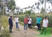 Wujudkan Swasembada Pangan, Anggota DPRD Sumbar, Khairuddin Simanjuntak Kebut Pembangunan JUT di Pasaman