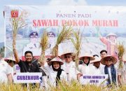 Inovasi Sawah Pokok Murah di Sumbar Didorong Komisi IV DPR-RI Jadi Program Nasional