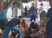 Cetak Rekor, SMA Negeri 13 Pekanbaru Sembelih Sapi Bobot 115 Kilogram