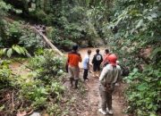 Ambruknya Jembatan Kayu di Cubadak Direspons Bupati, Akan Segera Dibangun Lagi