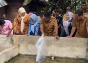 Dorong Ekonomi Lokal, Wagub Sumbar Serahkan Induk Unggul Lele kepada Pembudidaya di Pariaman