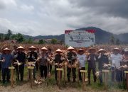 Polres Pessel Bersama Forkopimda Panen Jagung, Berkomitmen Dukung Swasembada Pangan