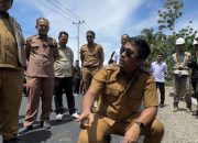 Tinjau Pembangunan Jalan di Maligi, Wagub Minta Kualitas Proyek Tidak Dikurangi 