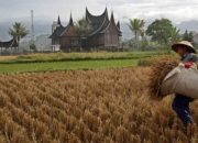 PE Sumbar Terendah di Sumatera, Ricky Donals Dt. Paduko Marajo Ajak Perantau dan Warga Sumbar Bangkit
