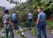 Prajurit Kodaeral II Gerak Cepat Tangani Longsor di Bukit Peti-Peti