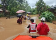 Hadang Derasnya Banjir, Relawan PMI Evakuasi Warga yang Terjebak