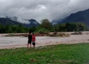 Dinas Pertanian Rilis Kerugian Padi dan Peternakan Akibat Banjir di Pesisir Selatan