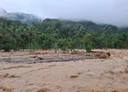 Data Sementara Bencana Banjir dan Longsor di Pessel, Kerugian di 9 Kecamatan Mencapai Rp179,9 Miliar