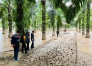 Datang dari Berbagai Daerah Gurila Injourney Lewati Medan Berat Tembus Kampung Terisolasi