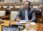 Regulasi Dinilai Longgar, Rahmat Saleh Minta Pengawasan Hutan Diperkuat