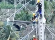 Kepala BP BUMN Dony Oskaria Apresiasi Aksi Heroik Petugas PLN di Aceh