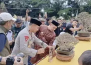 Pameran Pesona Bonsai 2025, PPBI Riau Hadirkan 433 Pohon Bonsai Terbaik