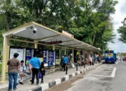 Peningkatan Layanan Trans Padang, Halte Imam Bonjol Koridor 2 dan 3 Tampil Lebih Nyaman