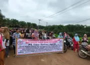 PT. TKA Didemo Ribuan Masyarakat Nagari Alahan Nan Tigo dan Nagari Lubuk Besar, Tuntut Kebun Plasma