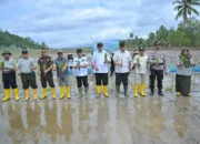 Pemerintah Mulai Melakukan Rehabilitasi Lahan Pertanian Terdampak Bencana di Sumbar