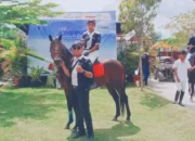 CAR Jumping Festival 2026, Upaya Membina Atlet Berkuda di Riau Menuju Nasional