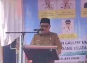 Peluncuran Inovasi My Darling di Padang Selatan, Dukung Progul Padang Rancak