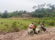 Melus Bersyukur Dibukanya Akses Jalan ke Lahan Pertanian Melalui TMMD Ke-127
