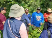 Akses Baru Batu Gadang–Baringin–Padang Besi Didorong Verry Mulyadi, Warga Sampaikan Terima Kasih