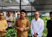 Kabar Gembira! Limapuluh Kota Raih Program Pengembangan Perkebunan Seluas 6.000 Hektar