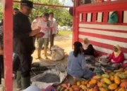 Bupati Safni Sikumbang Ingin Kembalikan Kejayaan Kakao Limapuluh Kota