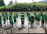 Peduli Lingkungan, Persit Kartika Chandra Kodim 0311/ Pessel Tanam Mangrove