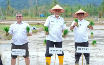 Tuntas, Rehabilitasi Lahan Rusak Ringan dan Sedang Pascabencana di Sumbar