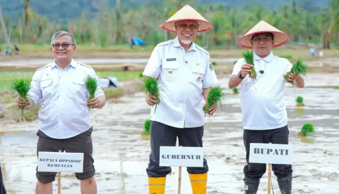 Tuntas, Rehabilitasi Lahan Rusak Ringan dan Sedang Pascabencana di Sumbar