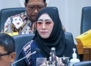 Lisda Hendrajoni Kecam Keras Penganiayaan Terhadap Balita di Kota Padang