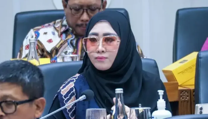 Lisda Hendrajoni Kecam Keras Penganiayaan Terhadap Balita di Kota Padang