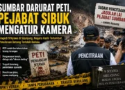 Sumbar Darurat PETI, Dibutuhkan Keberanian Politik Pejabat untuk Menghentikannya
