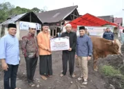 Tebar Qurban Pemprov Sumbar Meningkat Tajam, 140 Sapi dan 33 Kambing Disalurkan ke Berbagai Daerah