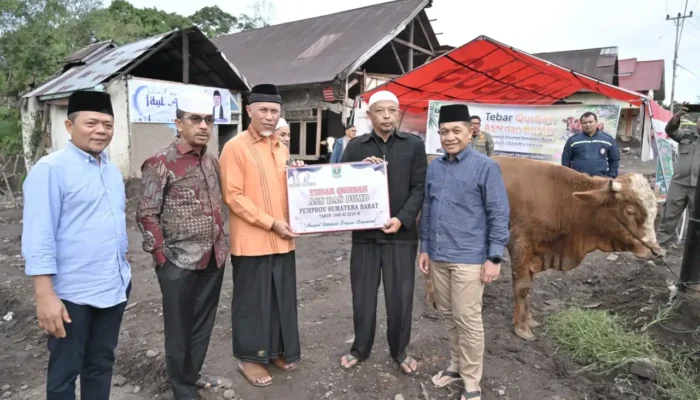 Tebar Qurban Pemprov Sumbar Meningkat Tajam, 140 Sapi dan 33 Kambing Disalurkan ke Berbagai Daerah