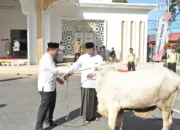 Gubernur Mahyeldi Serahkan Hewan Kurban ke Pengurus Masjid Baitul Auliya Kantor Gubernur