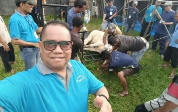 Kurban Idul Adha 1447 H, Pengurus Masjid Ar-Raudhah Kuatkan Kebersamaan serta Solidaritas Warga Lapai dan Sekitarnya