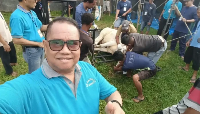 Kurban Idul Adha 1447 H, Pengurus Masjid Ar-Raudhah Kuatkan Kebersamaan serta Solidaritas Warga Lapai dan Sekitarnya