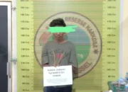 Pura-pura Membeli Ganja, Polisi Tangkap NU Mahasiswa Asal Lakitan Utara