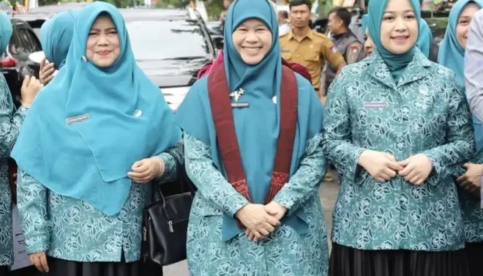 Wakili Kota Padang di Tingkat Sumbar, TP-PKK Kelurahan Olo Dinilai Tim Provinsi