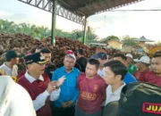 Respon Anjloknya Harga TBS, Bupati dan Ketua DPRD Sidak PKS Kemilau Permata Sawit Lestari Tapan
