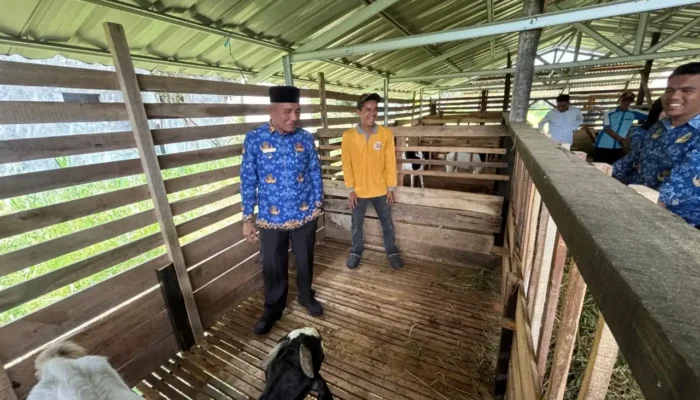 Bupati Safni Tantang Disnakeswan Jadikan Limapuluh Kota Pusat Pengembangan Sapi dan Kambing